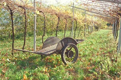 campagna