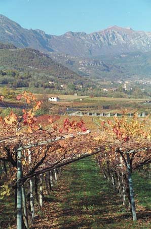 campagna